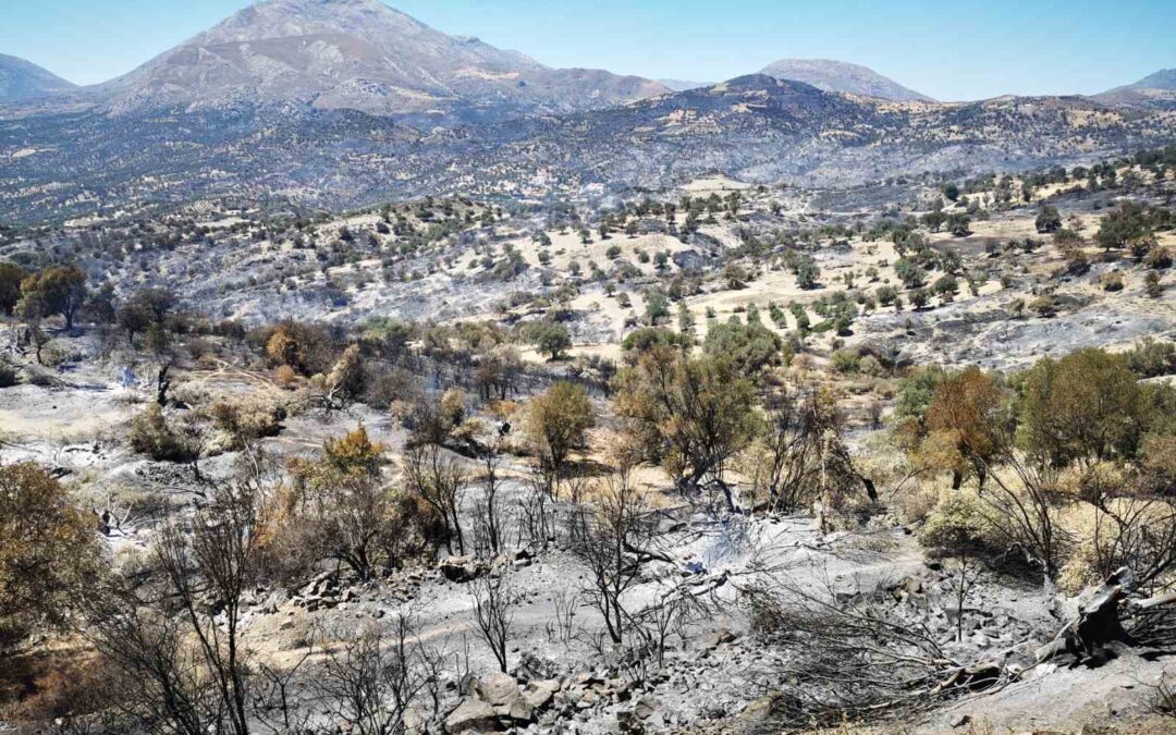 ΑΝΑΚΟΙΝΩΣΗ – ΠΥΡΟΠΛΗΚΤΕΣ ΚΤΗΡΙΑΚΕΣ ΥΠΟΔΟΜΕΣ